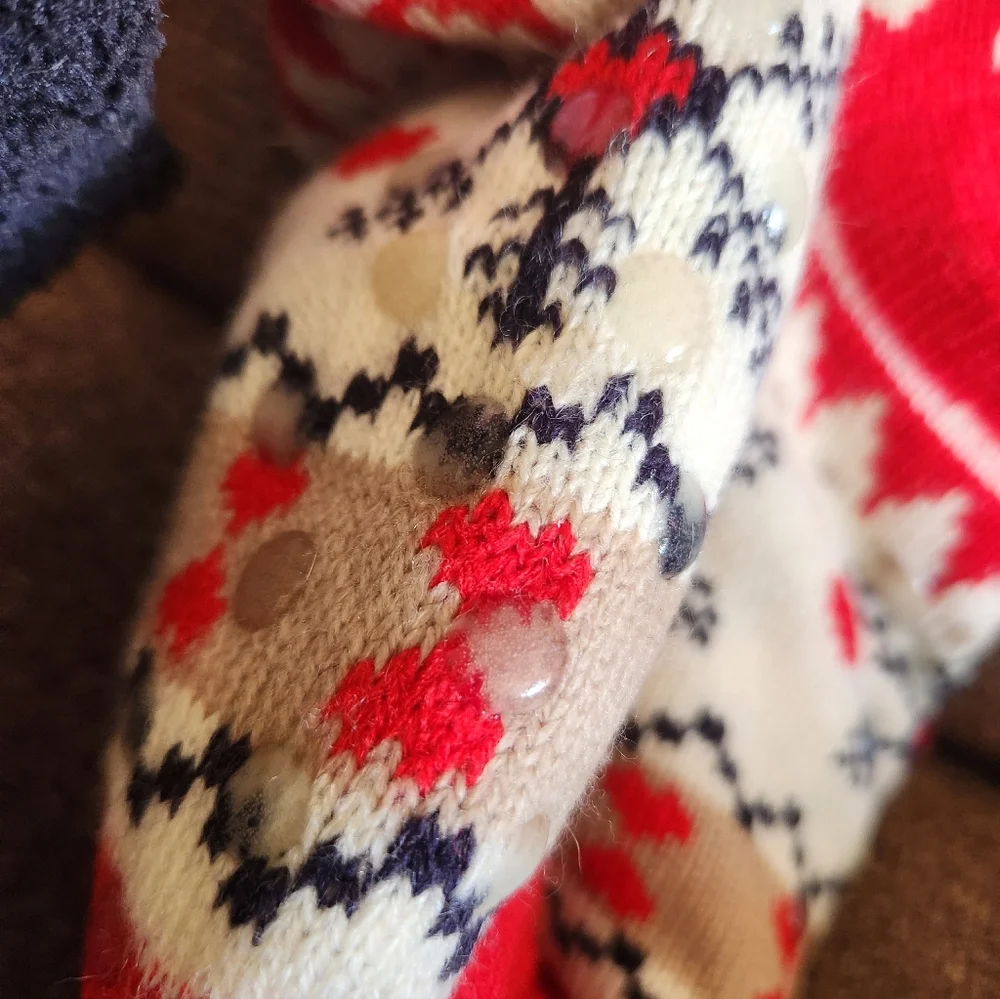 Holiday Slipper Socks With Grippers NWOT